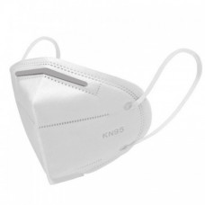 Standard N95 Face Mask