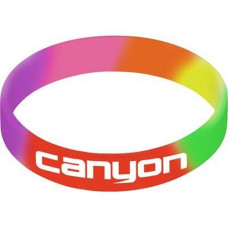 Rainbow Silicon Wristband